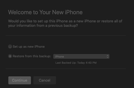 iphone restore screen in iTunes